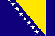 flag of Bosnia Herzegovina